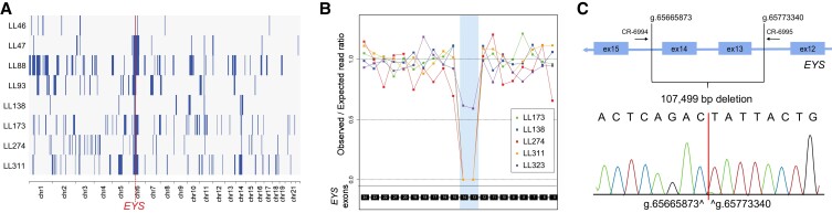 Fig. 6.