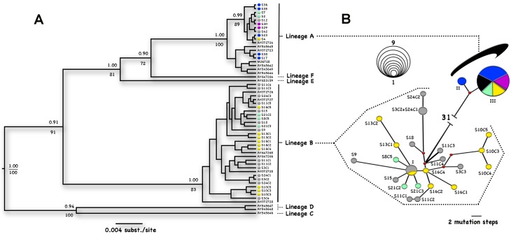 Fig 2