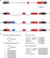 F<sc>igure</sc> 1.—