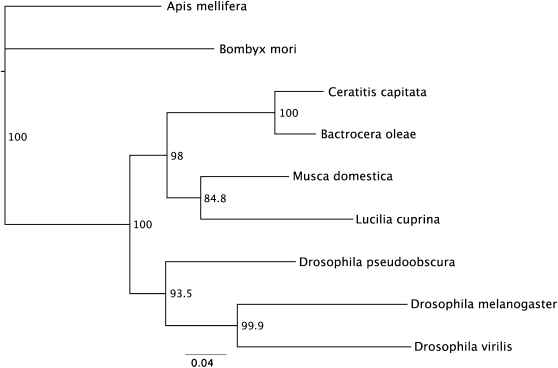 Figure 7.—