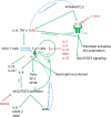 Fig 6