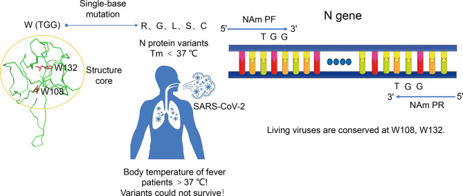 Figure 7