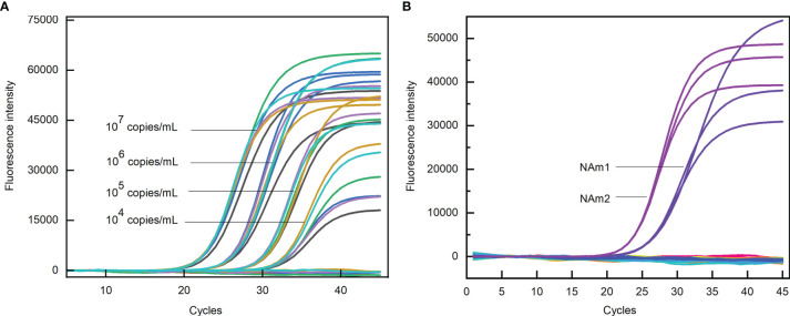 Figure 6