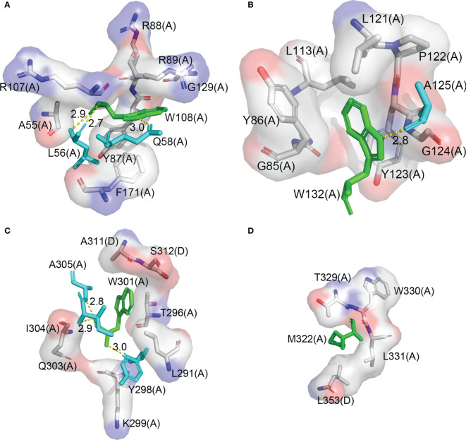 Figure 3