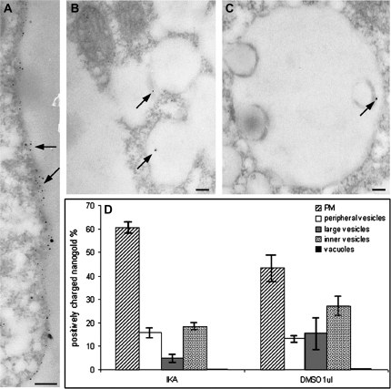 Fig. 8.