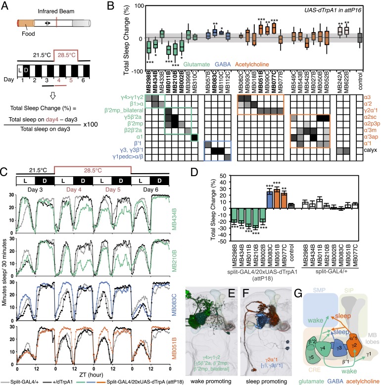 Figure 12.