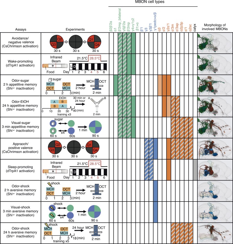 Figure 13.