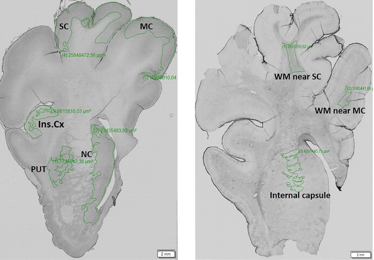 Fig. 8.