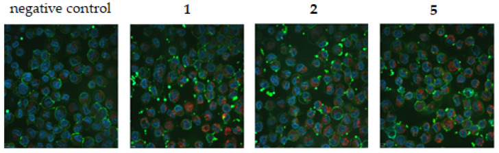 Figure 7