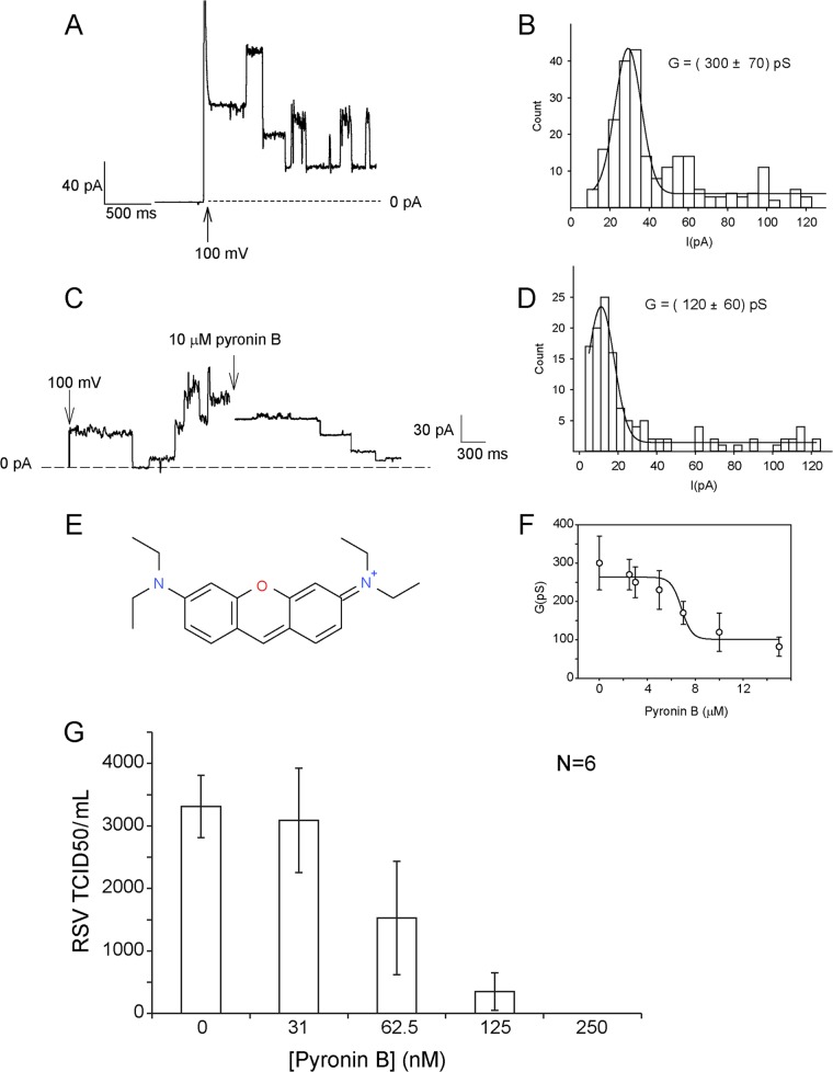 FIG 1