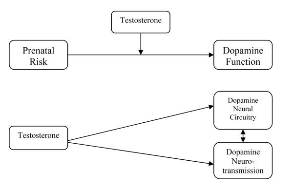 Figure 2a