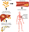 Figure 5