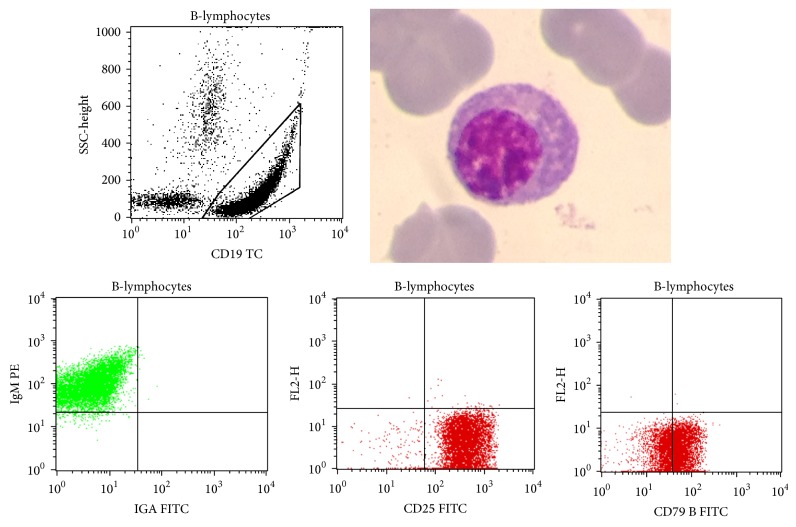 Figure 2