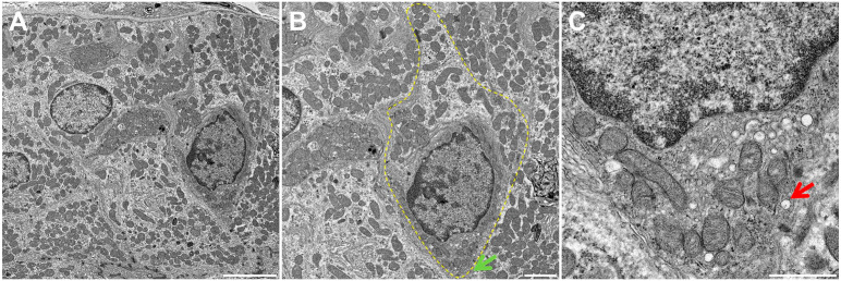 Figure 3.