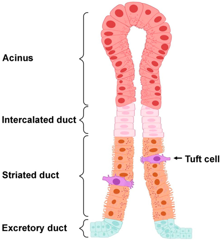 Figure 7.