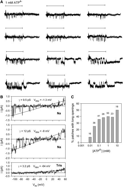 FIGURE 3