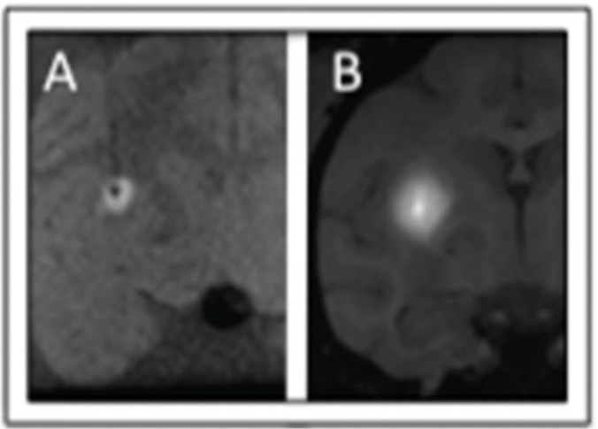 Fig. 3: