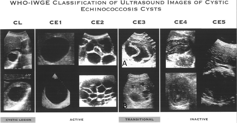 FIG 2