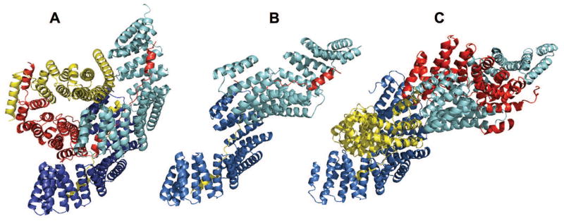 Figure 5