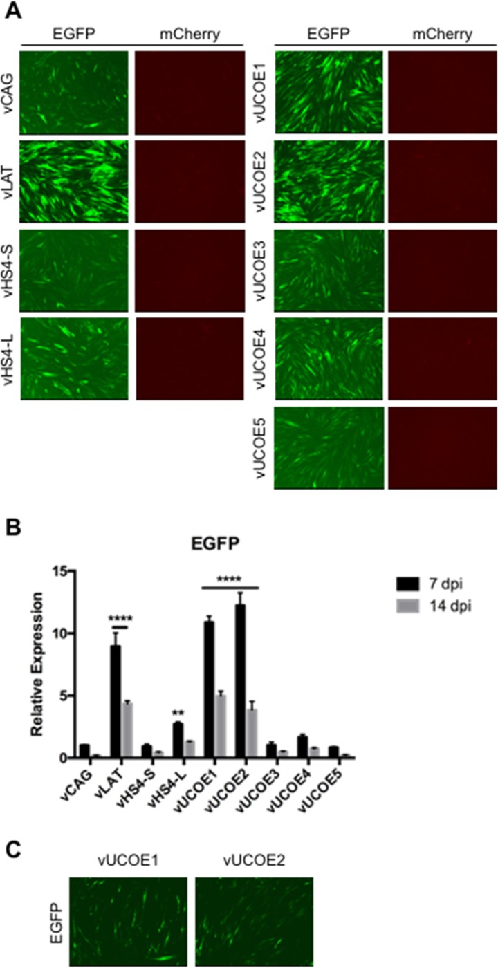 FIG 2