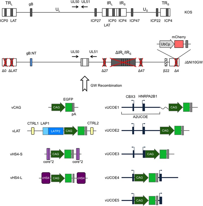 FIG 1