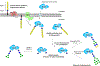 Figure 11.