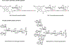 Figure 10.