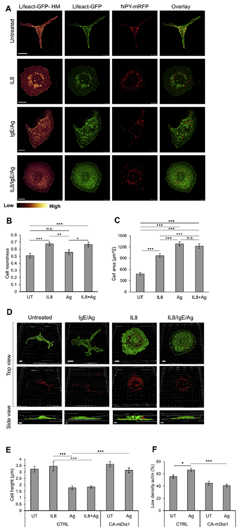 FIG 3.