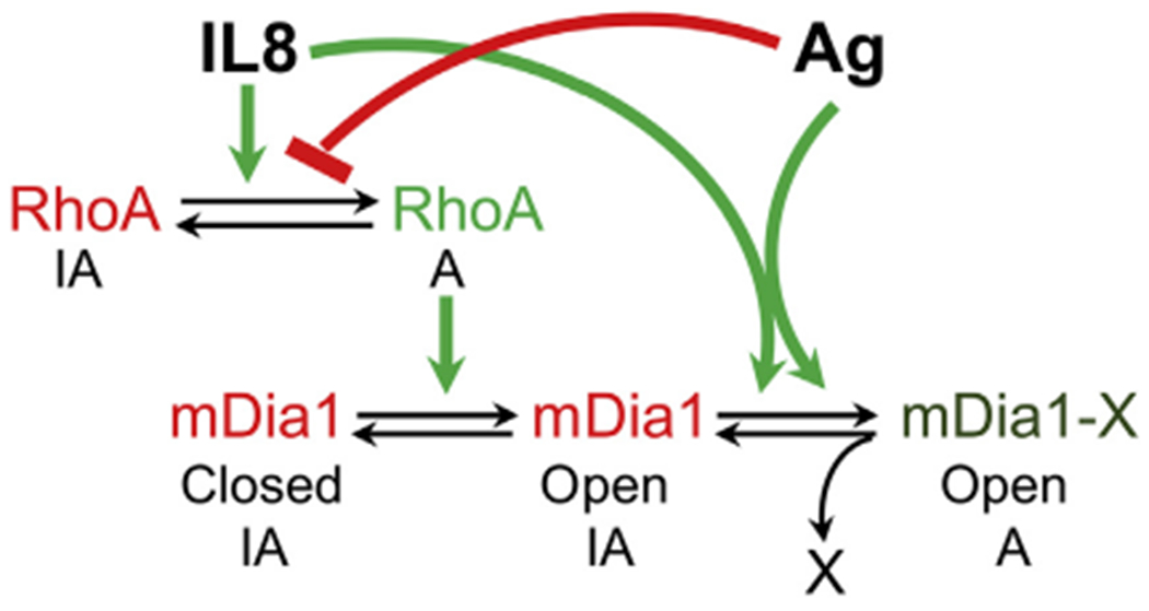 FIG 9.