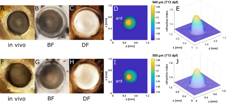 Figure 10.