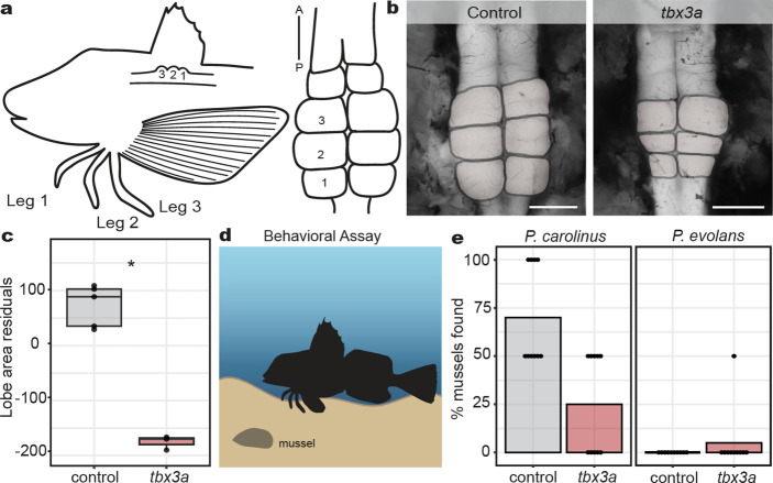 Fig. 3: