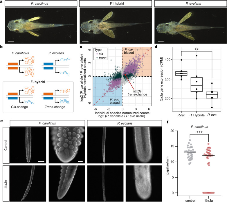 Fig. 4: