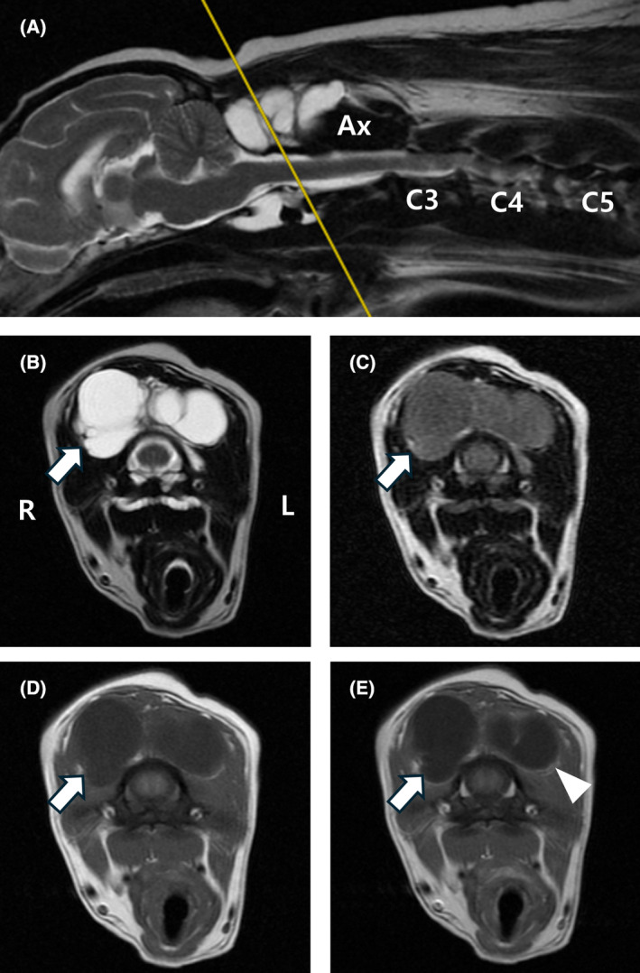 FIGURE 2