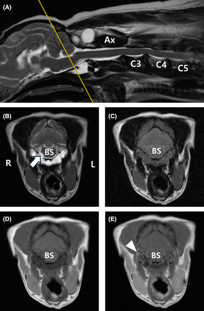 FIGURE 1