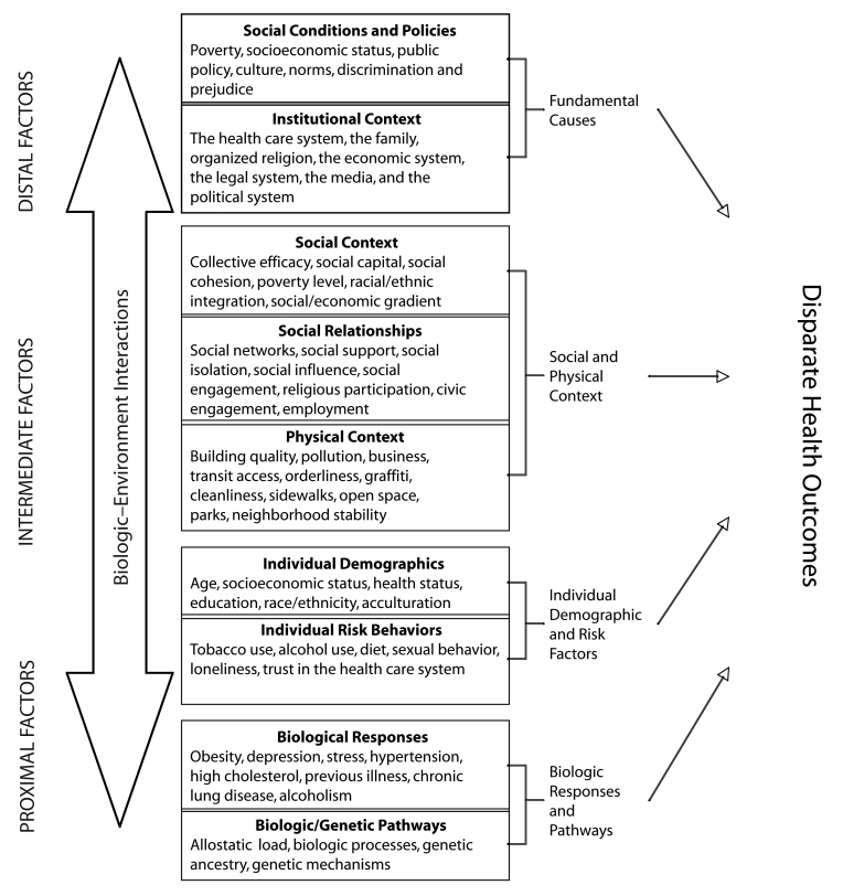 FIGURE 1—