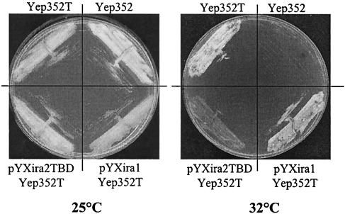 FIG. 5.