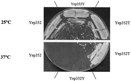 FIG. 6.