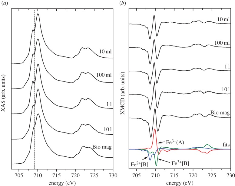 Figure 5.