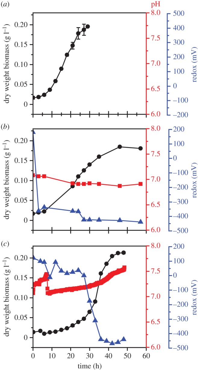 Figure 3.