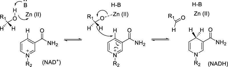 Scheme 2