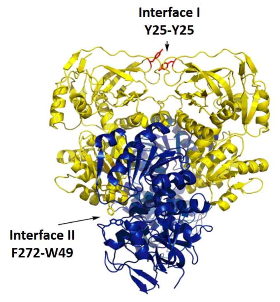 Figure 11