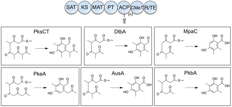 Figure 1: