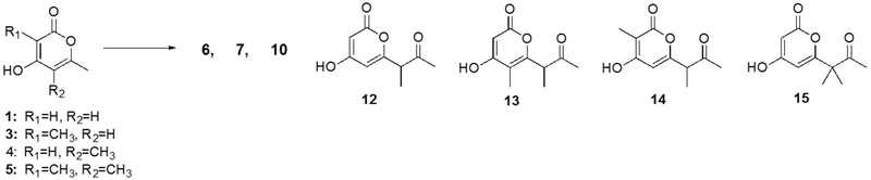 Figure 3: