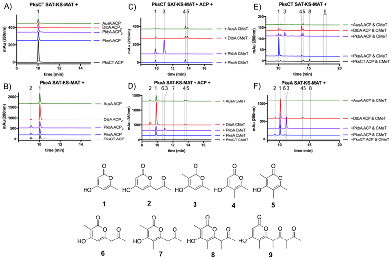 Figure 2: