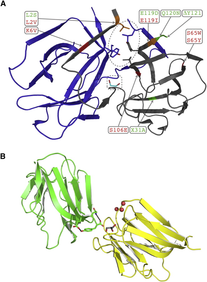 Figure 2