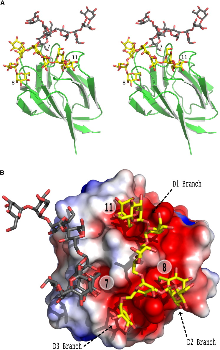 Figure 4