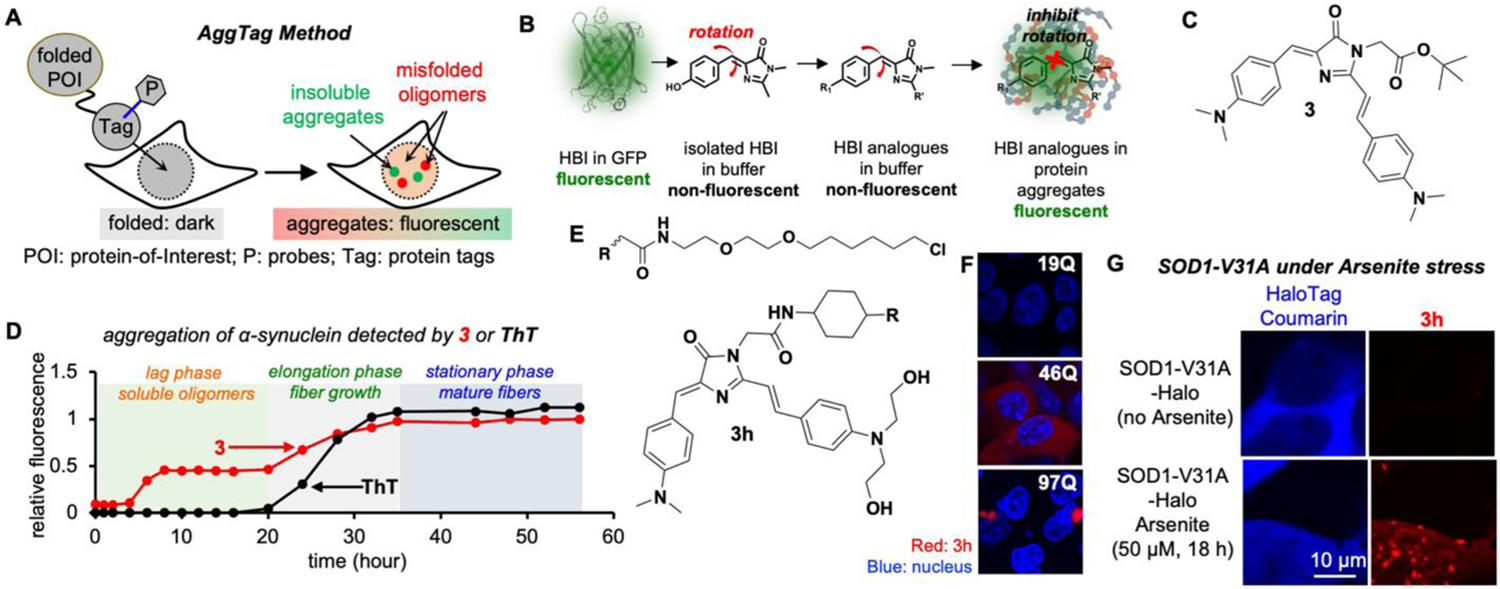 Figure 3: