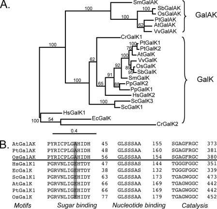 FIGURE 1.