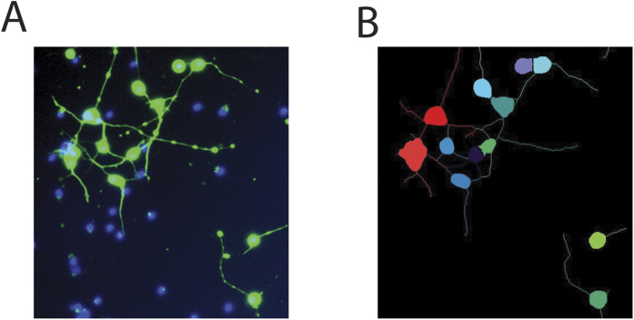 Figure 7