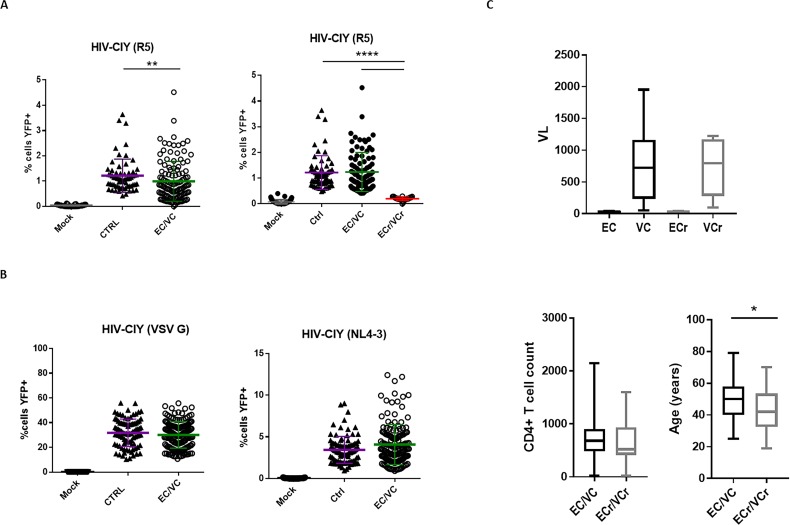 Figure 1—figure supplement 1.